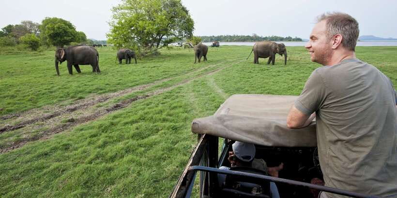From Ella: Udawalawe Safari with Elephant Transit Home - Udawalawe National Park: Three Hours of Jeep Wildlife Spotting
