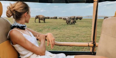 From Ella: Yala National Park Safari Tour in a 4x4 - Golden hours in Yala: what the 4x4 safari does right