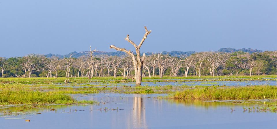 From Ella: Yala National Park Safari Tour in a 4x4 - The part people forget: entrance fees are extra and cash-only