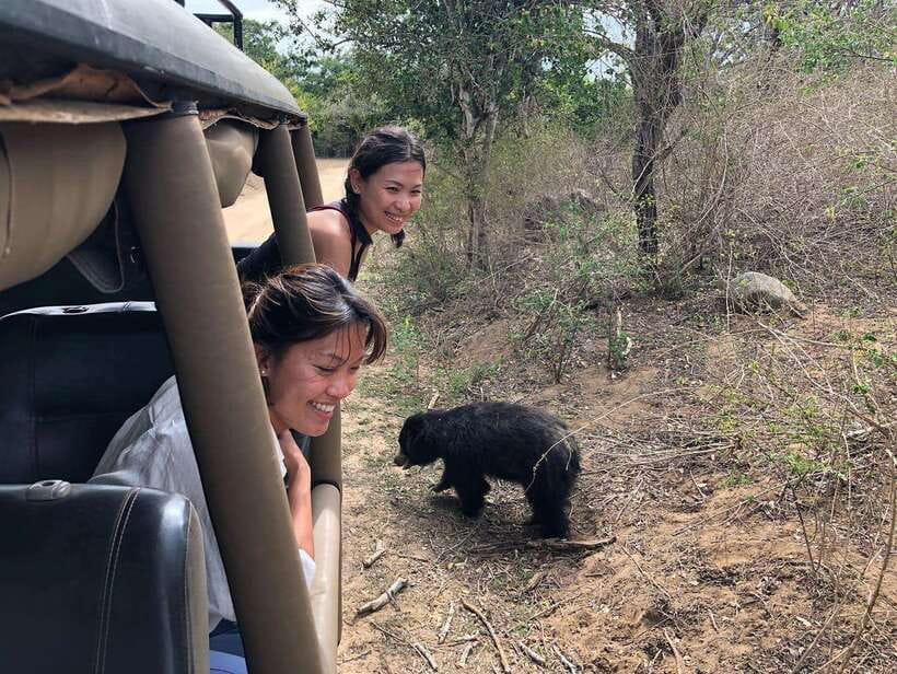 From Ella: Yala Safari Tour with Drop at Tangalle/Hiriketiya - Yala National Park Safari with Drop at Tangalle/Hiriketiya: the big idea