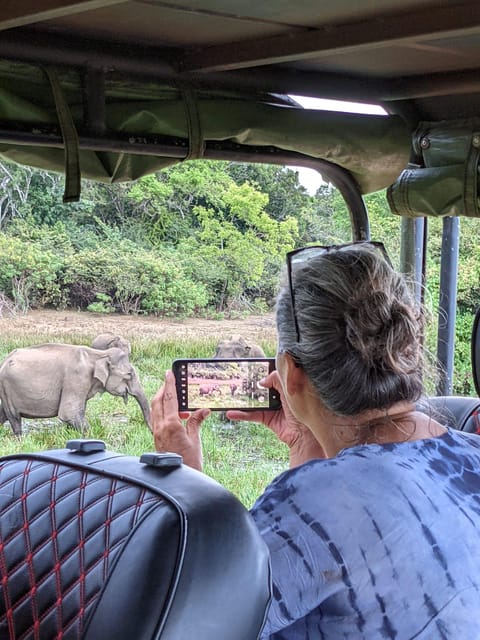 From Ella: Yala Safari & Transfer to Tangalle/Mirissa/Galle - Who This Trip Fits Best (and Who Should Skip It)