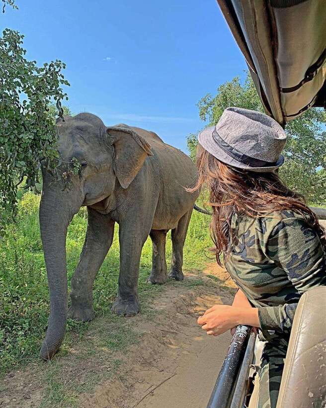 From Ella: Yala Safari with Tangalle/Mirissa/Galle Drop-off - Key Things I’d Pay Attention To