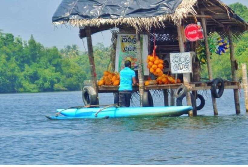 From Galle: Exclusive Madu River Safari & Turtle Hatchery - Why This Madu Ganga + Kosgoda Combo Works