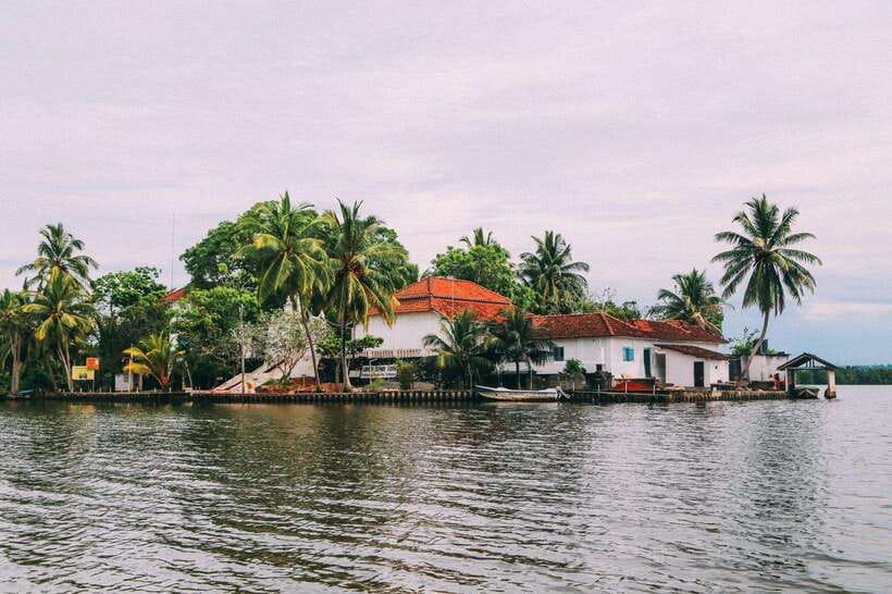 From Galle: Exclusive Madu River Safari & Turtle Hatchery - Key Highlights You’ll Actually Remember