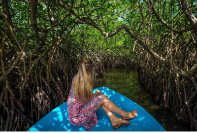From Galle: Exclusive Madu River Safari & Turtle Hatchery - Price and Logistics (What You’re Really Paying For)