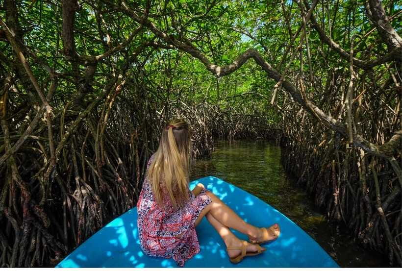 From Galle: Exclusive Madu River Safari & Turtle Hatchery - A Smart Localist Tip: Ask About the Tsunami Memorial Stop