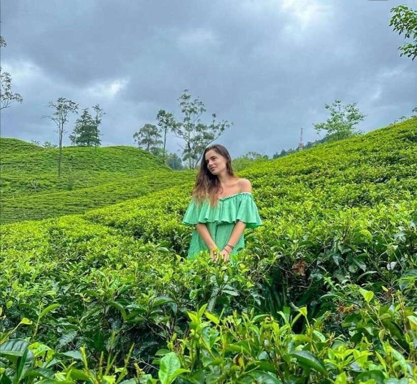 From Galle/Hikkaduwa/Mirissa -All-Inclusive Day Trip to Ella - Key points worth knowing before you go