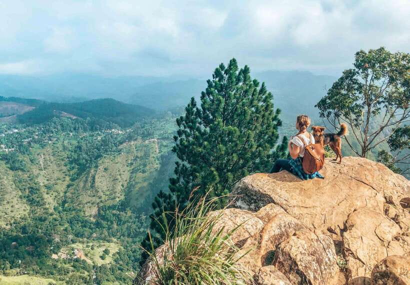 From Galle/Hikkaduwa/Mirissa -All-Inclusive Day Trip to Ella - Pickup and drop-off: the easiest way to avoid transport stress