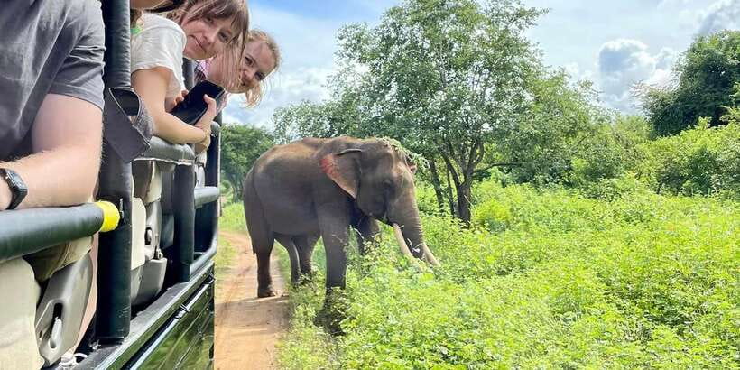 From Galle/Hikkaduwa/Mirissa Trip to Udawalawe Safari Tour - Key points to know before you go