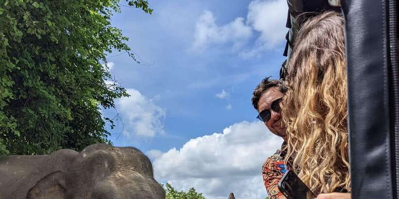 From Galle/Hikkaduwa/Mirissa Trip to Udawalawe Safari Tour - Budget and value: the $69 headline vs your real total