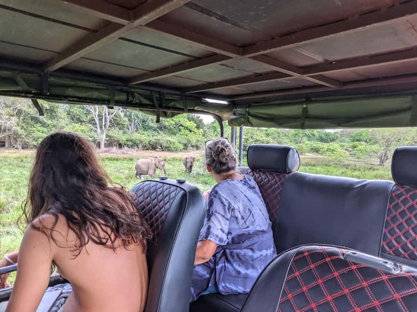 From Galle/ Mirissa/ Tangalle : Udawalawa Safari & Drop Ella - Practical Tips So Your Day Feels Easy