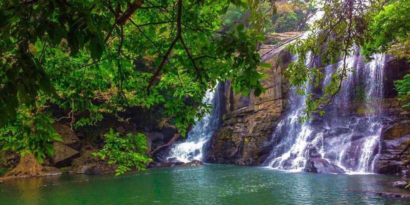 From Galle/Weligama/Mirissa: Day Trip to experience Ella - The Demodara to Ella Train Ride and the Nine Arch Bridge Moment