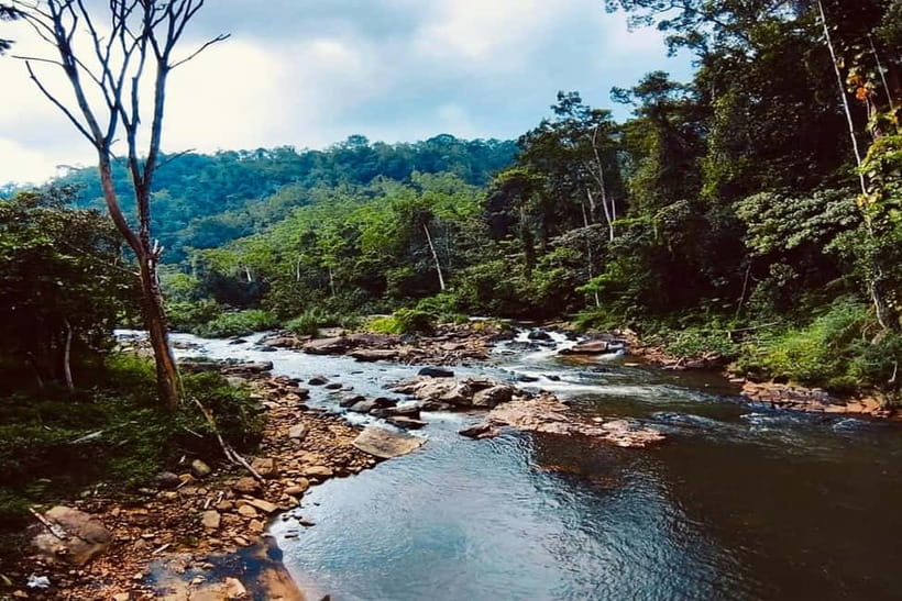 From Galle/Weligama/Mirissa/Matara: Day Trip to Sinharaja - Waterfalls, Streams, and Why Swimwear Shows Up on Your List