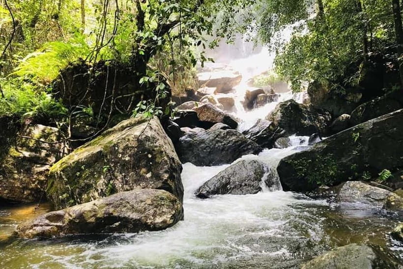 From Galle/Weligama/Mirissa/Matara: Day Trip to Sinharaja - Inside Sinharaja Rainforest Reserve: What the Guided Trek Feels Like
