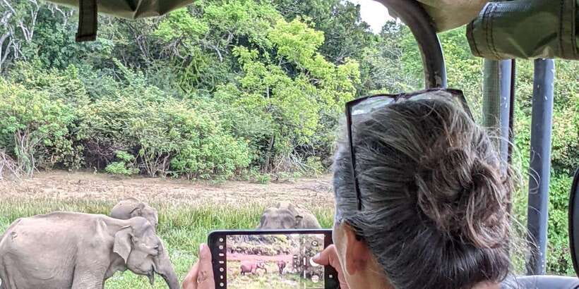 From Hikkaduwa/ Galle/ Mirissa - Yala National Park Safari - Leopard, bear, elephant, crocodile, and bird spotting: what you’re really paying for