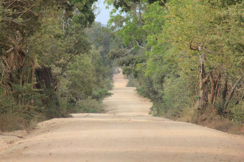 From: Hikkaduwa/ Galle/ Unawatuna/ Talpe - YALA Safari - Two game drives: what each one is good for