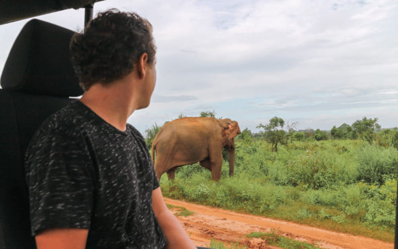 From: Hiriketiya/ Tangalle - Udawalawe Safari - To: Ella - Transfers to Ella: comfort, views, and what to pack for a long day