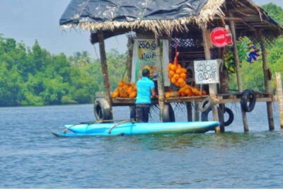 From Kalutara: Exclusive Madu River Safari & Turtle Hatchery - Getting picked up and reaching the Madu Ganga area on your own schedule