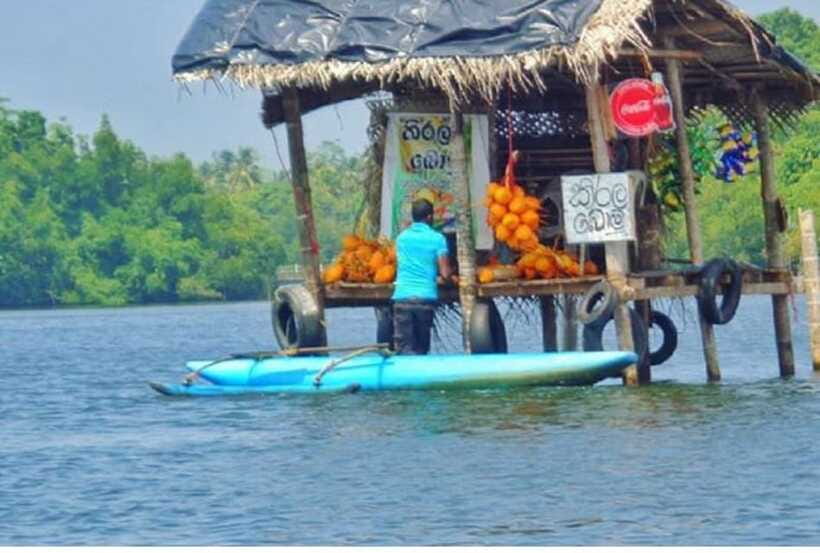 From Kalutara: Exclusive Madu River Safari & Turtle Hatchery - What kind of traveler will enjoy this most?