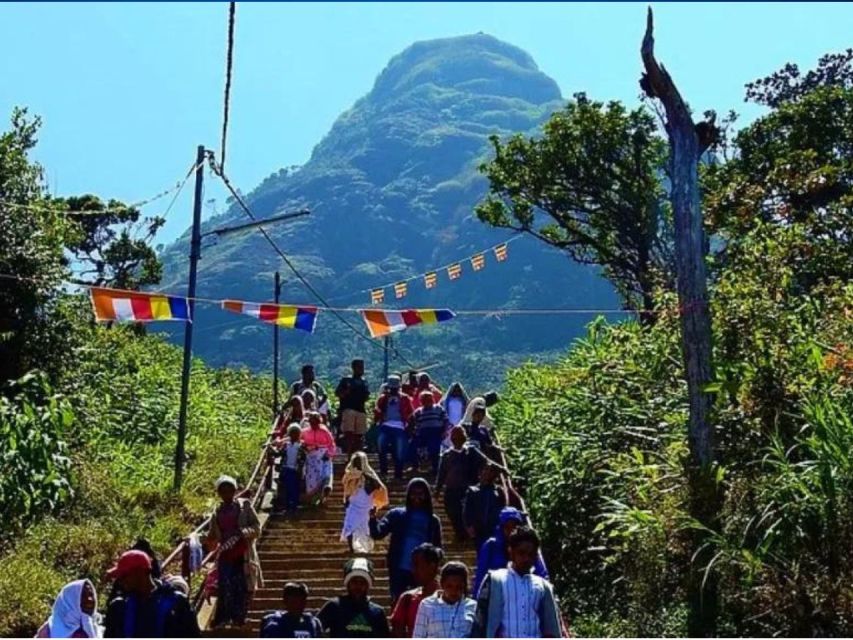 From Kandy: All Inclusive Adams Peak Epic Guided Hike - Kandy to Nallatanniya: the night start that sets everything up