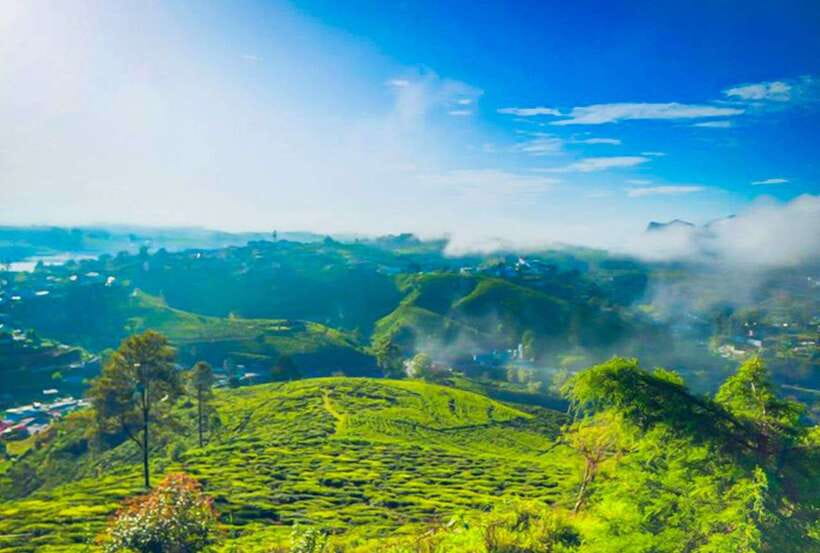 From Kandy: All Inclusive Nuwara Eliya Day Tour with Lunch - Quick Takeaways