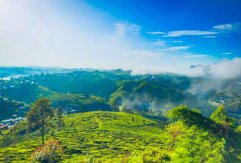 From Kandy: All Inclusive Nuwara Eliya Day Tour with Lunch - Transport, Timing, and the Reality of an 11-Hour Day