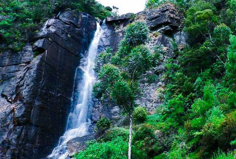 From Kandy: All Inclusive Nuwara Eliya Day Tour with Lunch - Value For Money: What You’re Paying For (and What You’re Not)