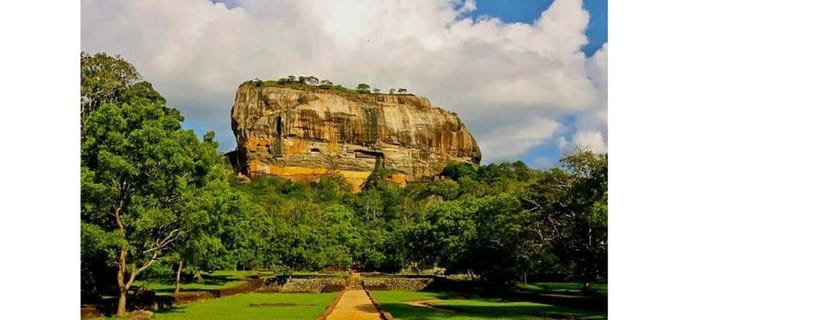 From Kandy: Dambulla to Sigiriya Day Tours - Minneriya National Park safari: wildlife time with water nearby
