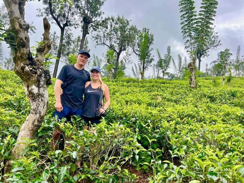 From Kandy: Ella Drop Tour via Nuwara Eliya - Ramboda Viewpoint and Ramboda Falls: The Big Nature Moment