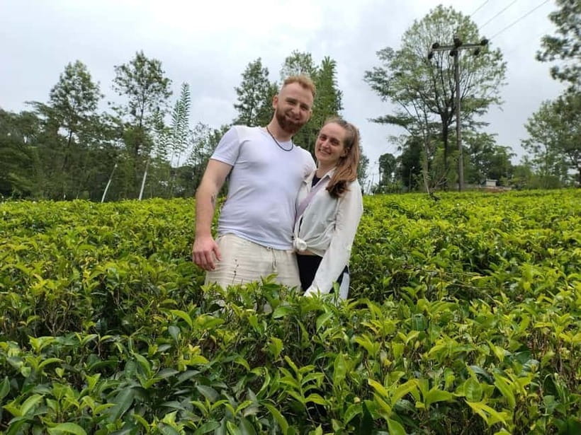 From Kandy: Ella Drop Tour via Nuwara Eliya - Who This Tour Fits Best
