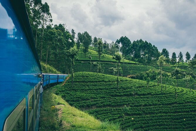 From Kandy: First Class Scenic Train Ticket To Ella - Price and value: is $105 a smart deal or an expensive shortcut?