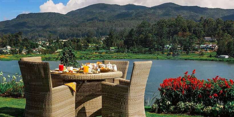 From Kandy: Nuwara Eliya by Train - A rail-and-tea day from Kandy to Nuwara Eliya