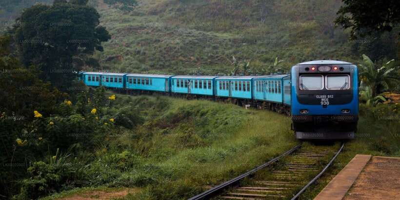 From Kandy: Nuwara Eliya by Train - Getting from the station to Nuwara Eliya’s hill-town streets