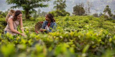 From Kandy: Nuwara Eliya by Train - Train ride through Sri Lanka’s tea hills (the part you’ll remember)