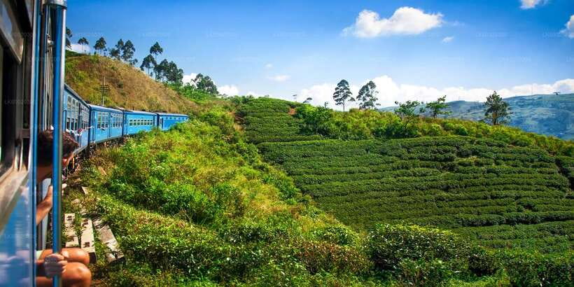 From Kandy: Nuwara Eliya by Train - Lake Gregory stop: easy sightseeing with a classic setting