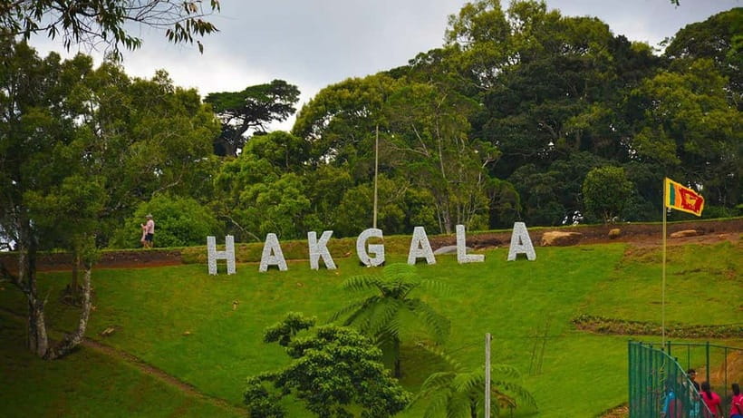 From Kandy: Nuwara Eliya Tour via Ambuluwawa [Private Tour] - Private Tour Value at About $29: What You Get vs. What Costs Extra