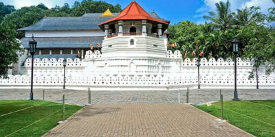 From Kandy: Pinnawala Day Tour - Price and what you’ll really spend on arrival