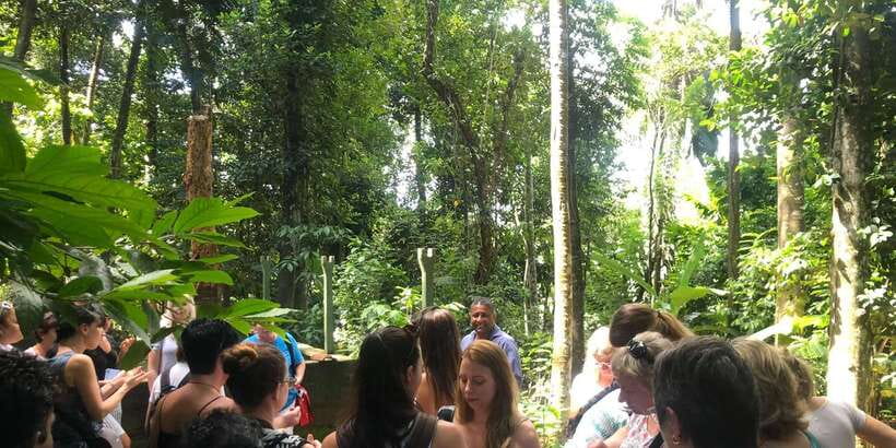 From Kandy: Pinnawala Day Tour - Spice and herbal garden: what it’s for (and how to shop without stress)