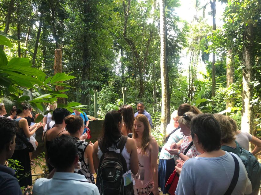 From Kandy: Pinnawala Day Tour - Wood carving family house and the “souvenir reality check”
