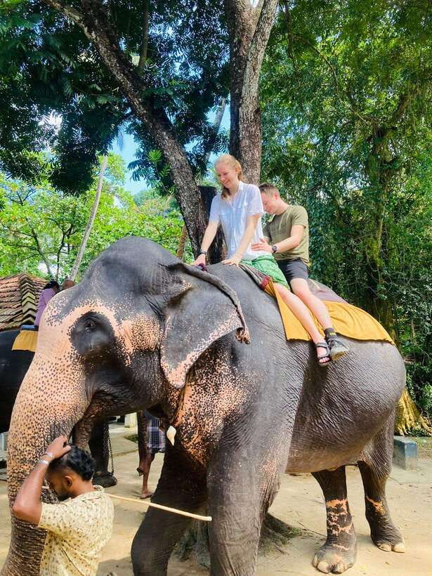 From Kandy : Pinnawala Elephant Orphanage & Ambuluwawa Tower - Key Highlights You’ll Care About