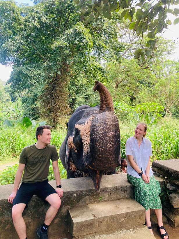 From Kandy : Pinnawala Elephant Orphanage & Ambuluwawa Tower - A Single Day Mix: Pinnawala Elephants and Ambuluwawa 360° Views
