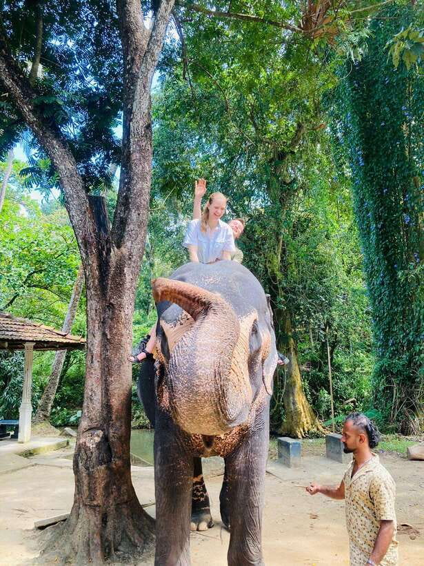 From Kandy : Pinnawala Elephant Orphanage & Ambuluwawa Tower - Workshop Stops Between Wildlife and Views: Tea, Spice, Gems, and Craft Factories