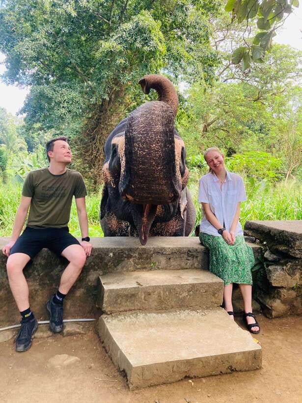From Kandy : Pinnawala Elephant Orphanage & Ambuluwawa Tower - Getting Oriented in Kandy: Bahirawakanda Big Buddha and Temple of the Sacred Tooth