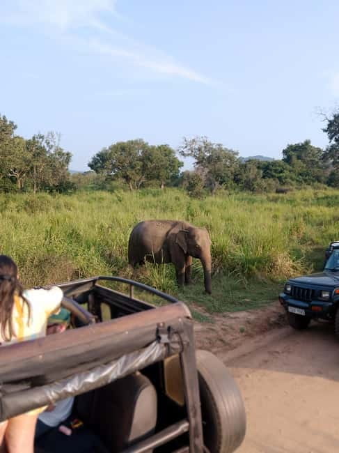 From Kandy: Sigiriya & Dambulla Day Tour with Safari - Lion’s Rock From Kandy: The Real Reason to Start Here