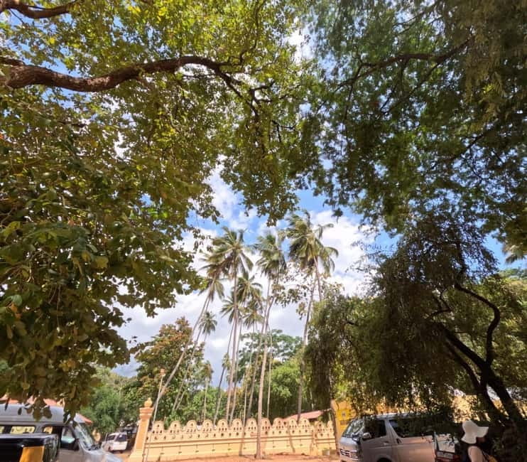 From Kandy: Sigiriya & Dambulla Day Tour with Safari - What to Bring (and What to Skip)