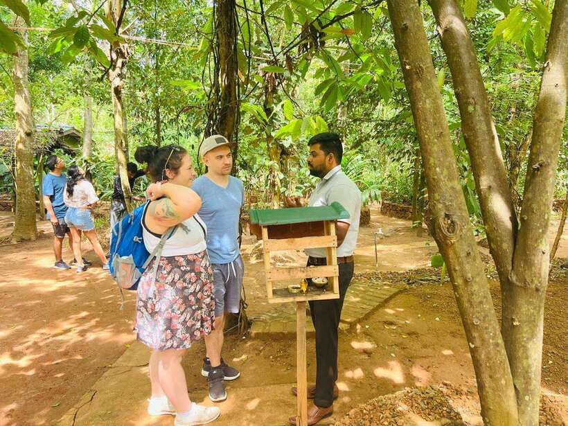 From Kandy: Sigiriya Day Tour with Elephant Safari(group) - Key things I’d plan around