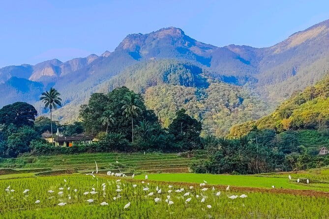 From Kandy to ELLA Private day tour - What $100 per person buys you (and what you still need to handle)