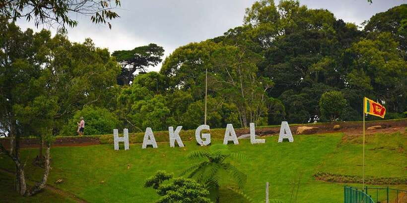 From Kandy To Nuwara Eliya Drop Tour - Private Tour - Nuwara Eliya post office and the “Little England” feel