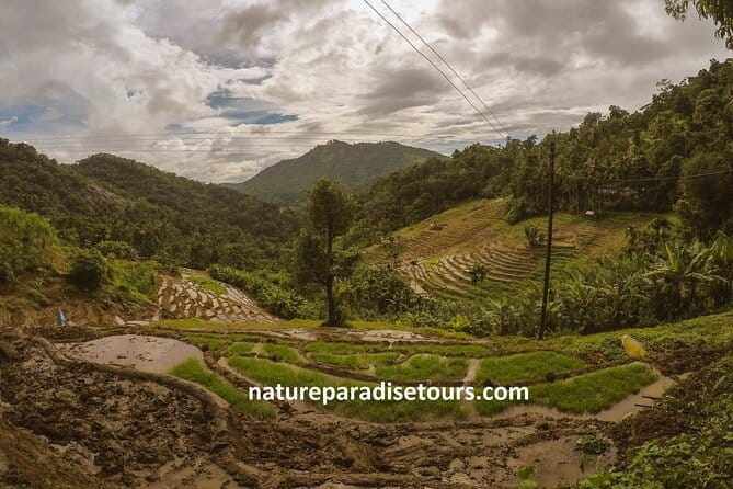 From Kandy to sigirya day tour bay car and van - Sigiriya Rock Fortress: How to Spend Your 2 Hours