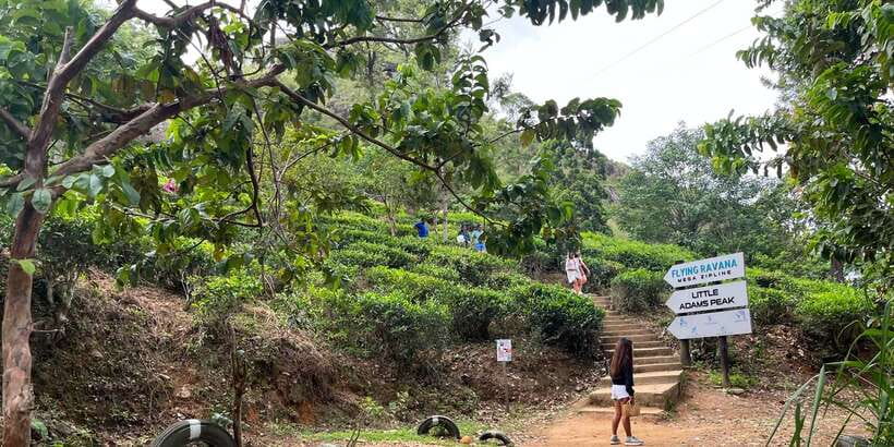 From kandy Train, and Pool Club Day Tour with Pickup - Kandy to Ella in One Day: How the 12 Hours Actually Works